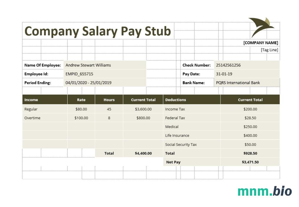 Company Pension Pay Stub Template